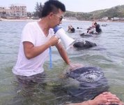 保鏢和保安有什么區別？